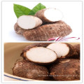 2015 Fresh Taro De Chine Shandong Boren